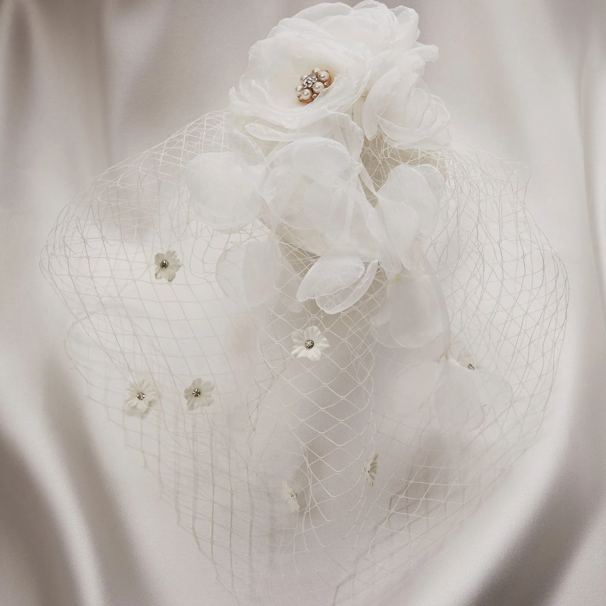 Audrey Birdcage Fascinator