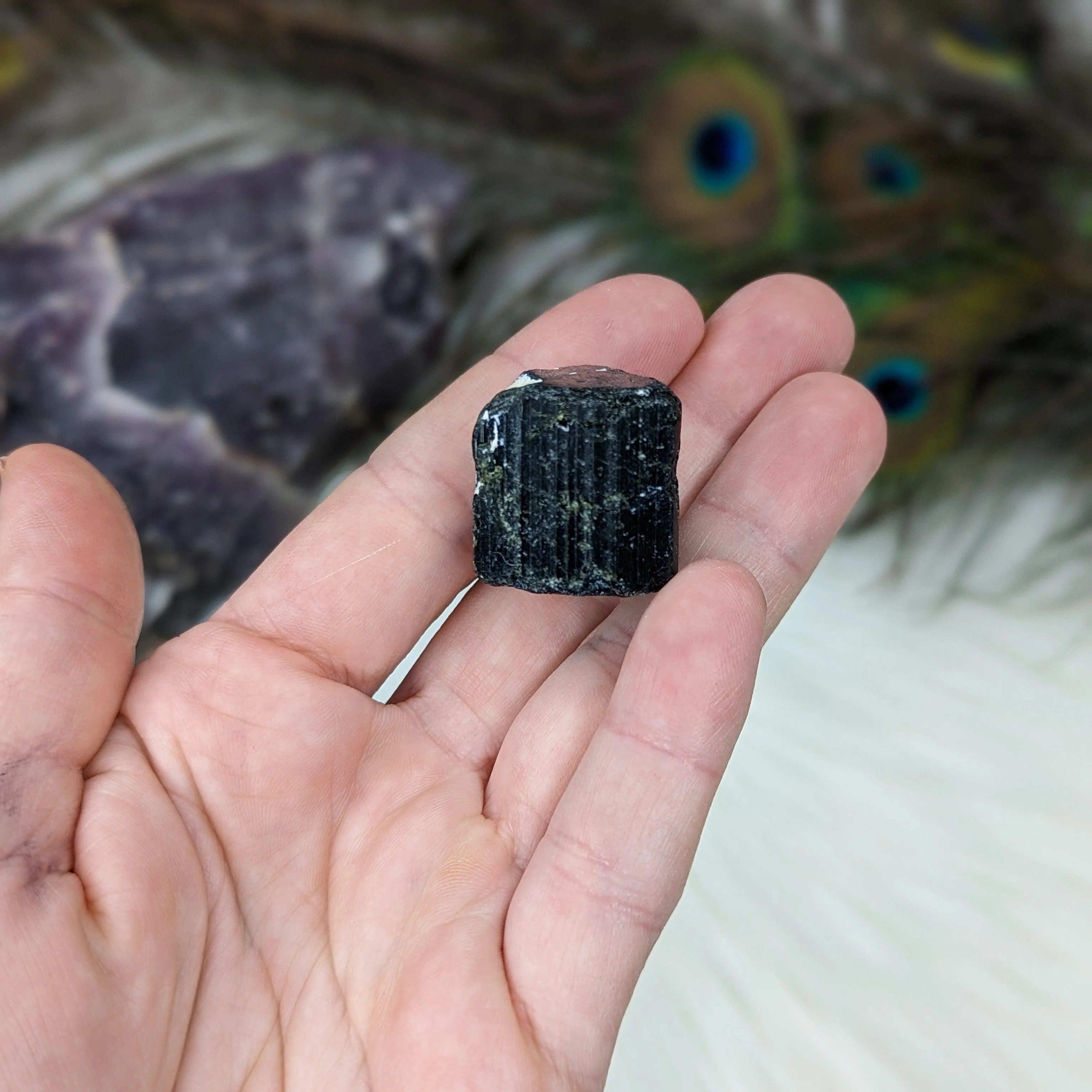 Black Tourmaline AA Gemmy Crystal Specimen