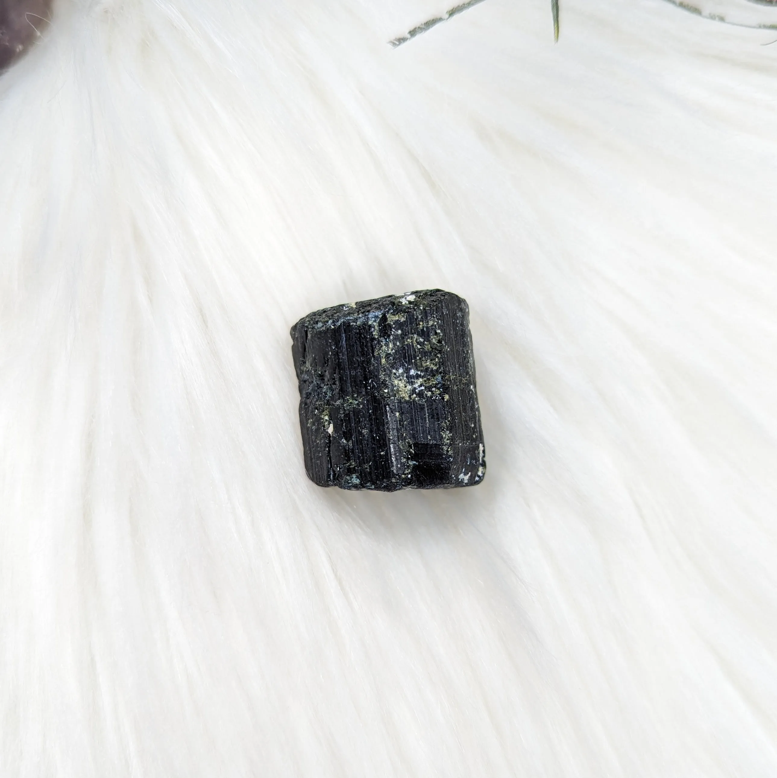 Black Tourmaline AA Gemmy Crystal Specimen