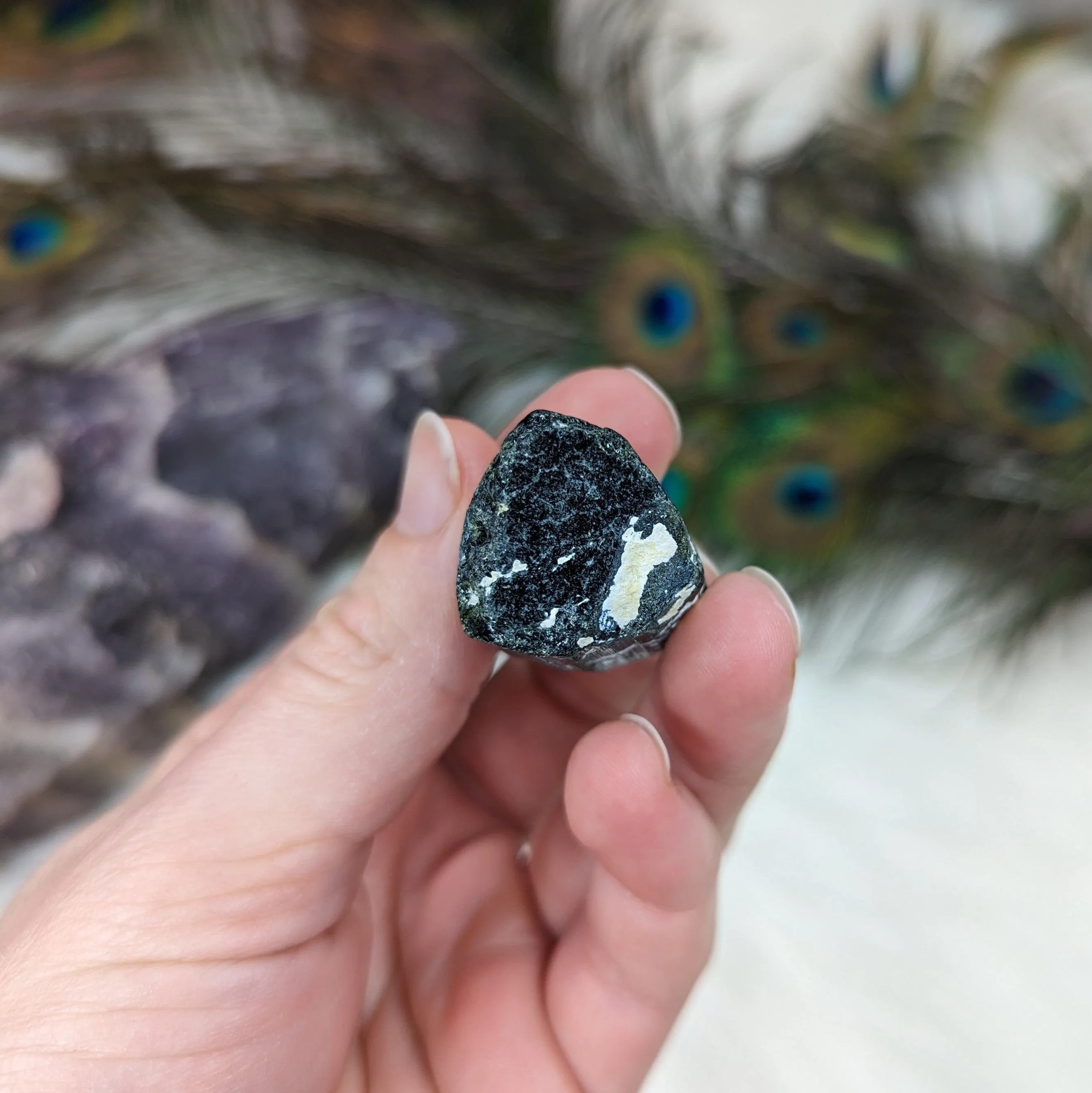 Black Tourmaline AA Gemmy Crystal Specimen