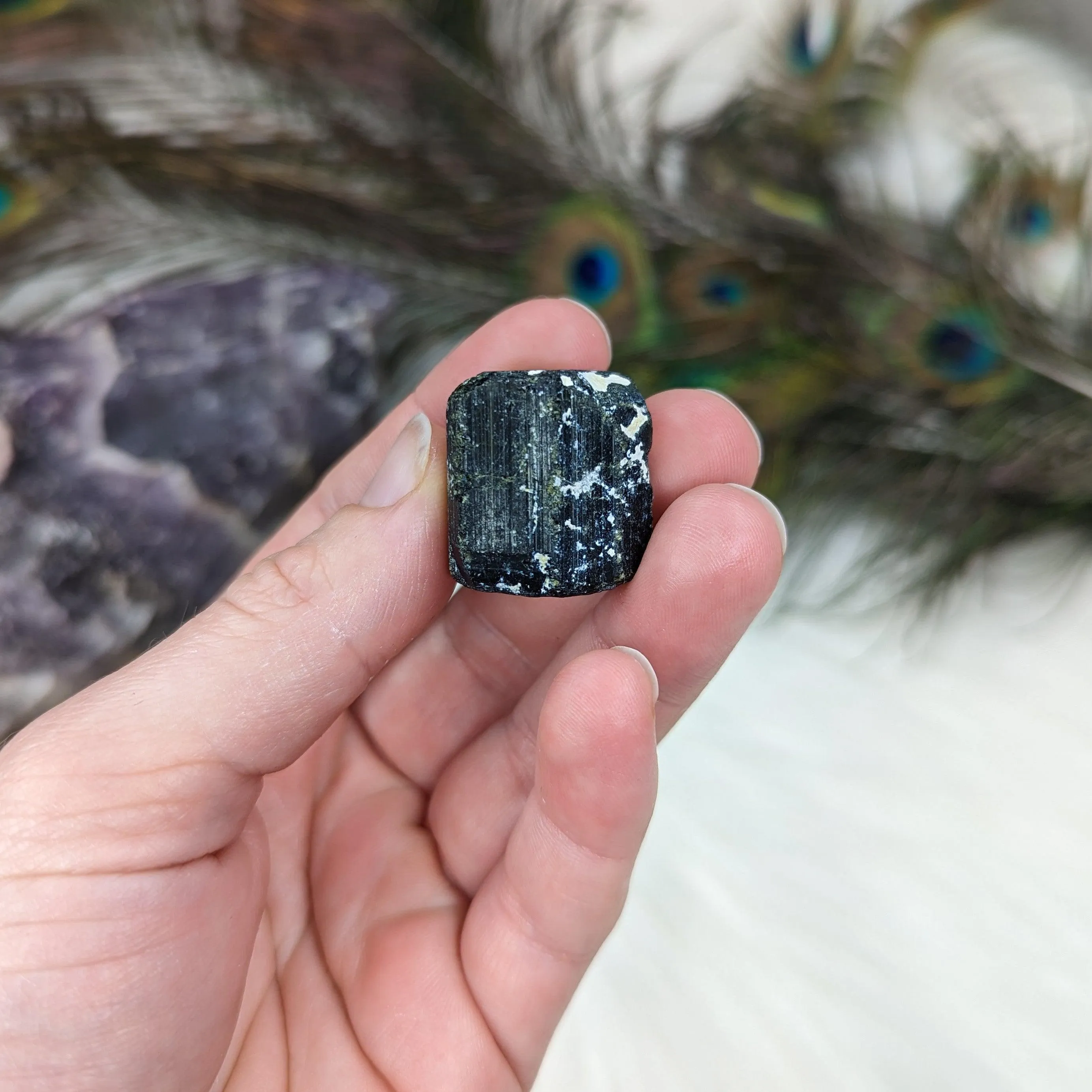 Black Tourmaline AA Gemmy Crystal Specimen