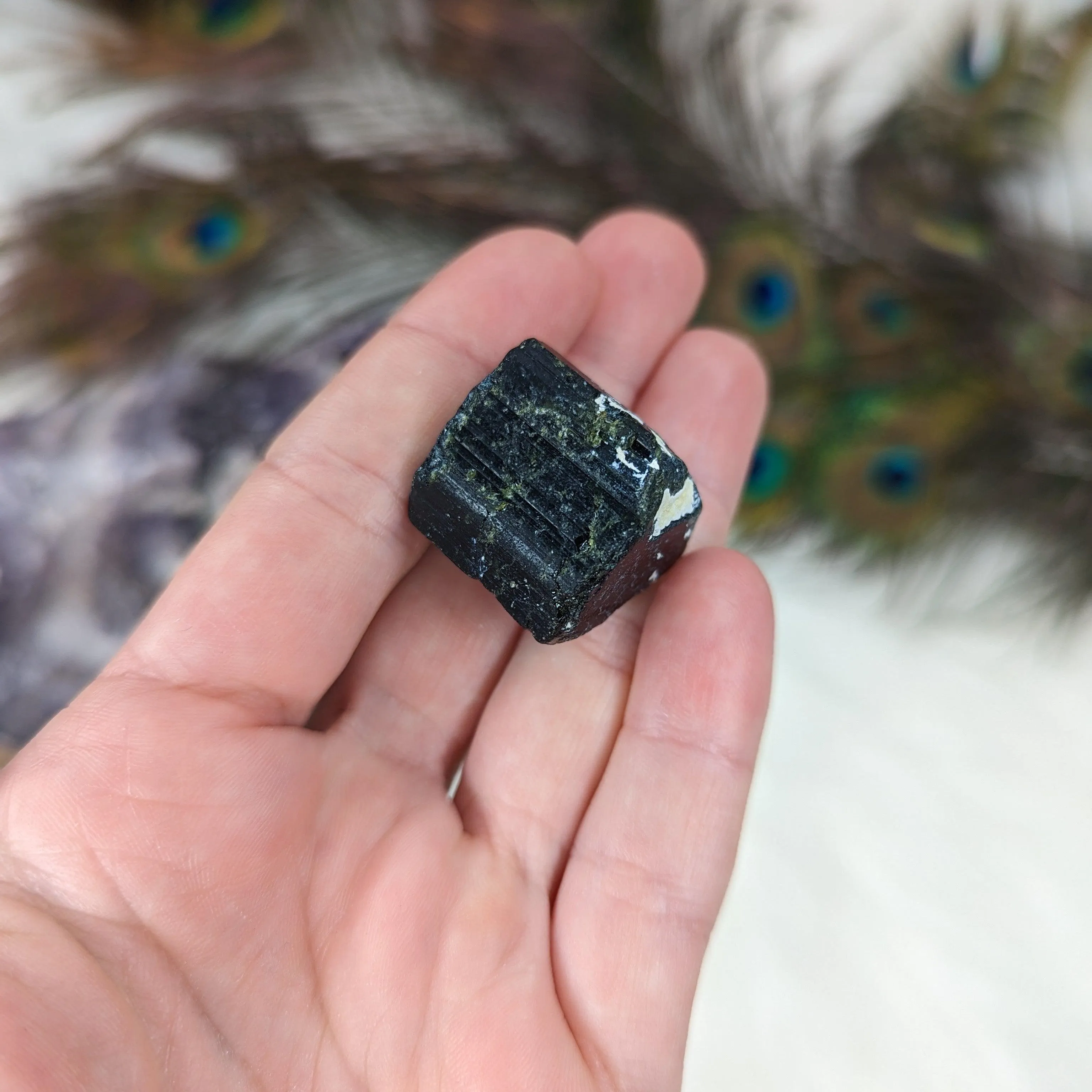 Black Tourmaline AA Gemmy Crystal Specimen