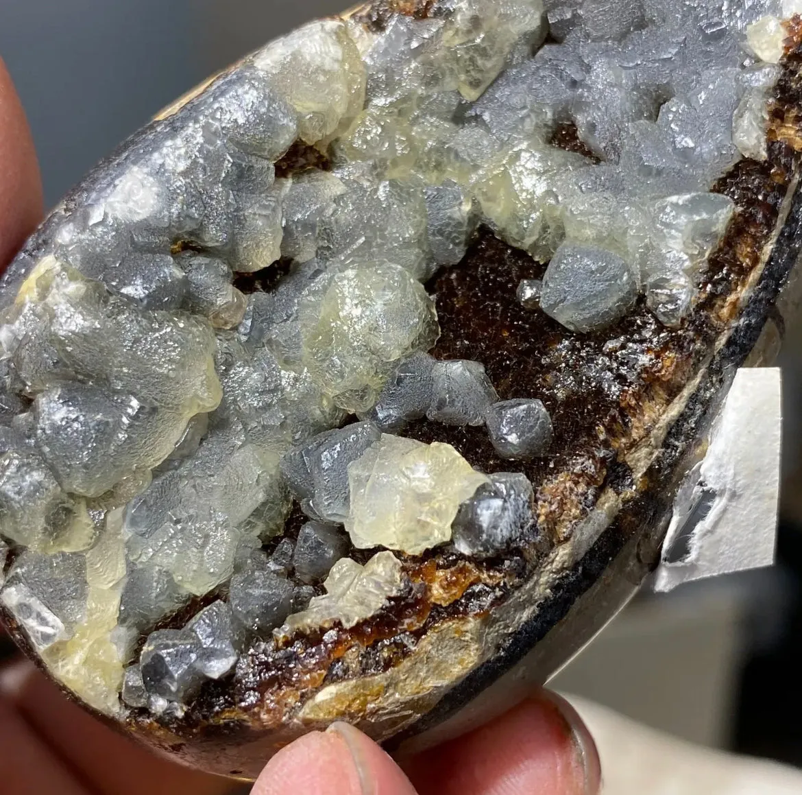 Septarian Geode