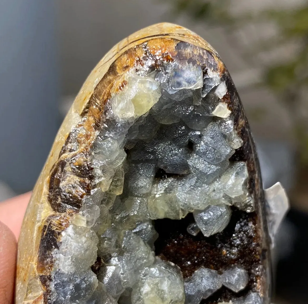 Septarian Geode